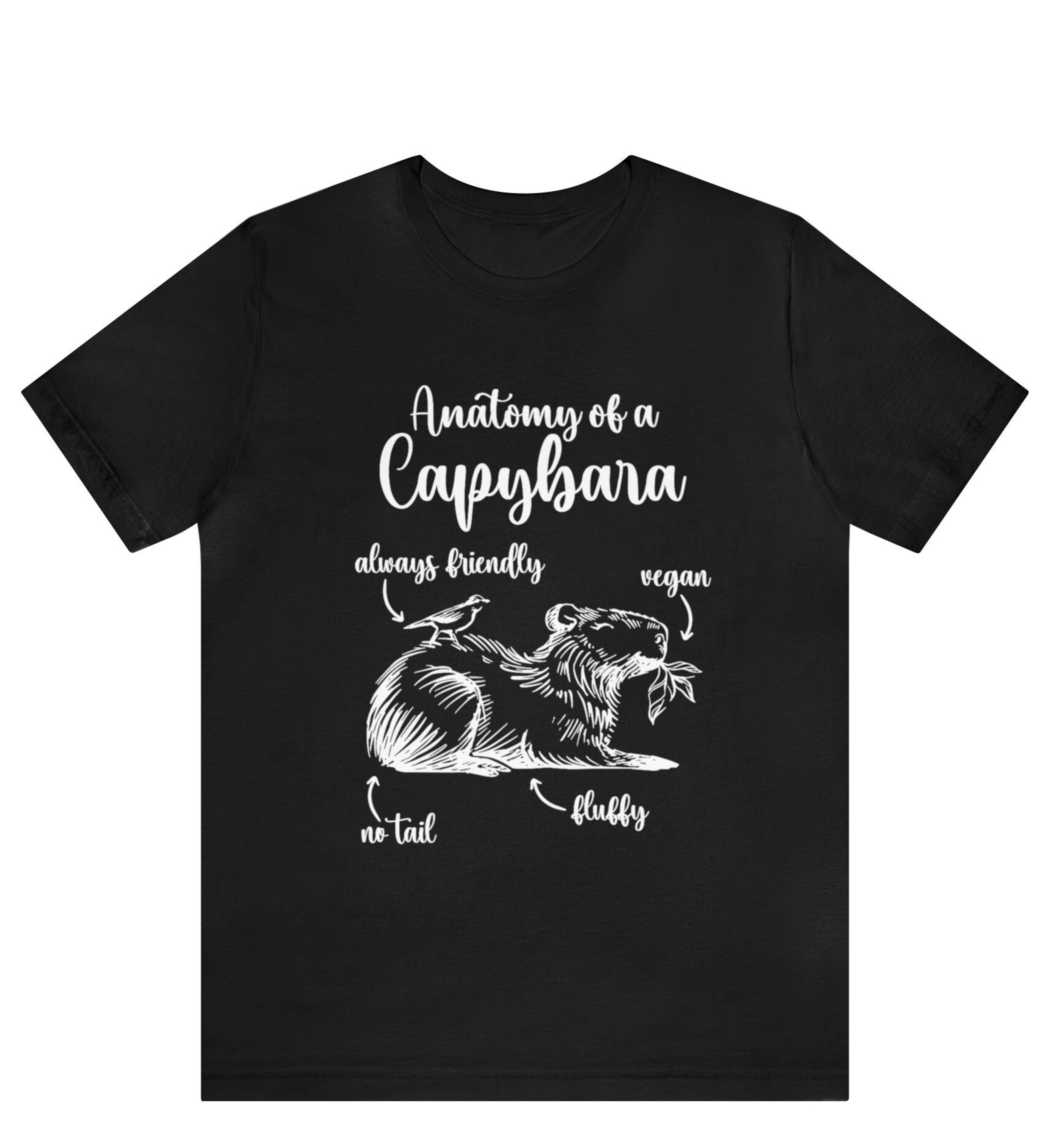 Anatomy Of Capybara Shirt, Funny Animal Anatomy Shirt, Capybara Lover