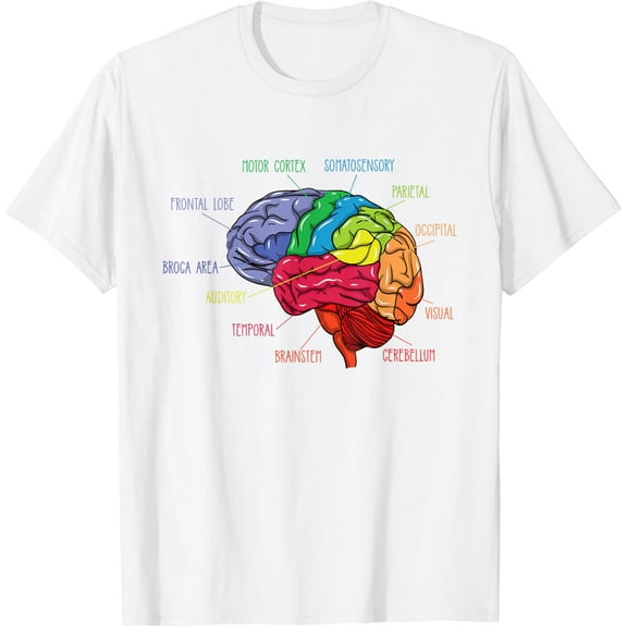 Anatomy Of The Brain Neurologist Gift T-Shirt