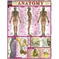 thumbnail image 1 of Pre-Owned Anatomy Paperback, 1 of 1