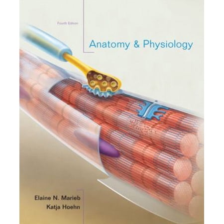 Pre-Owned Anatomy & Physiology 4th Edition (Hardcover) 0321616405 9780321616401