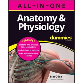 Anatomy & Physiology All-In-One for Dummies (+ Chapter Quizzes Online), (Paperback)