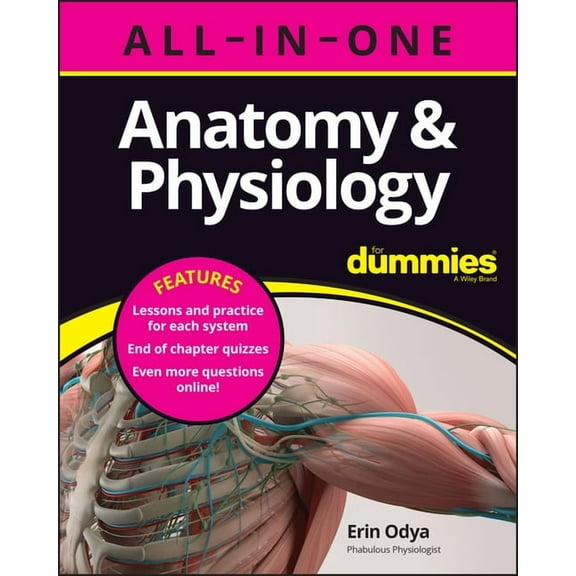 Anatomy & Physiology All-In-One for Dummies (+ Chapter Quizzes Online), (Paperback)