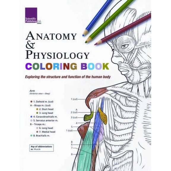 Anatomy & Physiology Coloring Book, (Paperback)