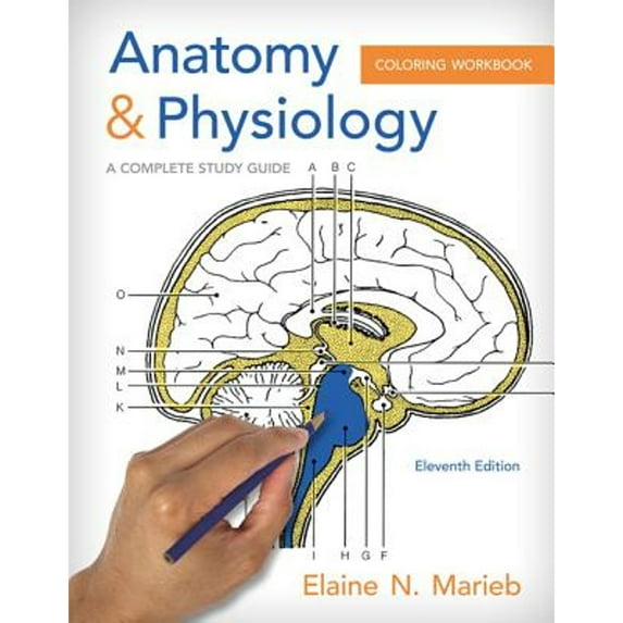 Pre-Owned Anatomy & Physiology Coloring Workbook: A Complete Study Guide (Paperback) by Elaine N. Marieb