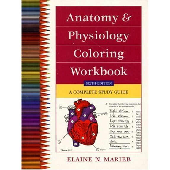 Pre-Owned Anatomy and Physiology Coloring Workbook: A Complete Study Guide (Paperback) 0805349138 9780805349139