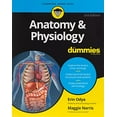 thumbnail image 1 of Pre-Owned Anatomy & Physiology for Dummies (Paperback) 1119345235 9781119345237, 1 of 1