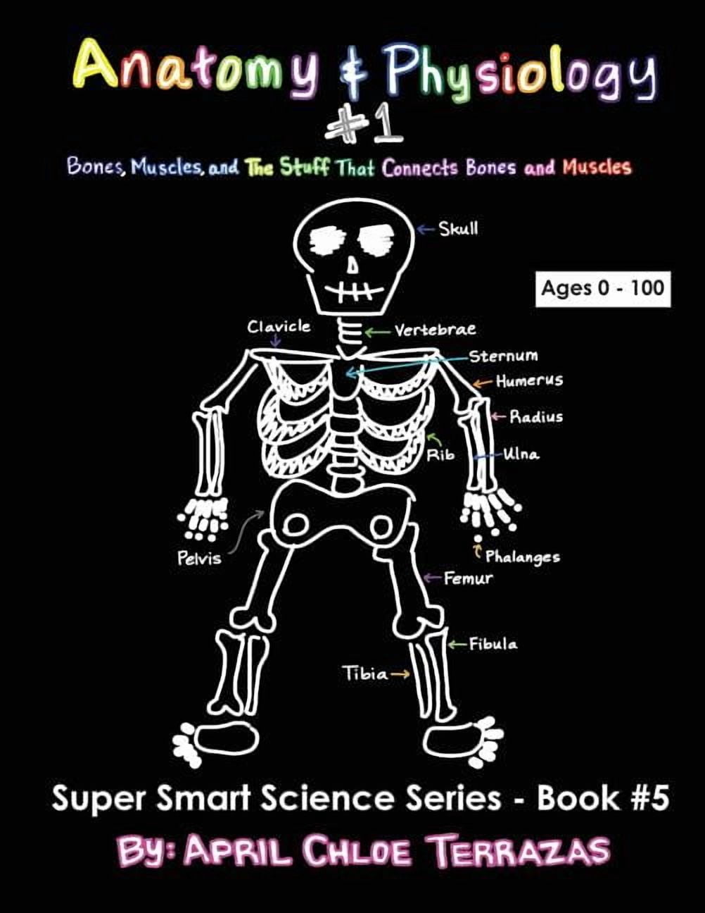 Anatomy & Physiology Part 1: Bones, Muscles, and the Stuff That ...
