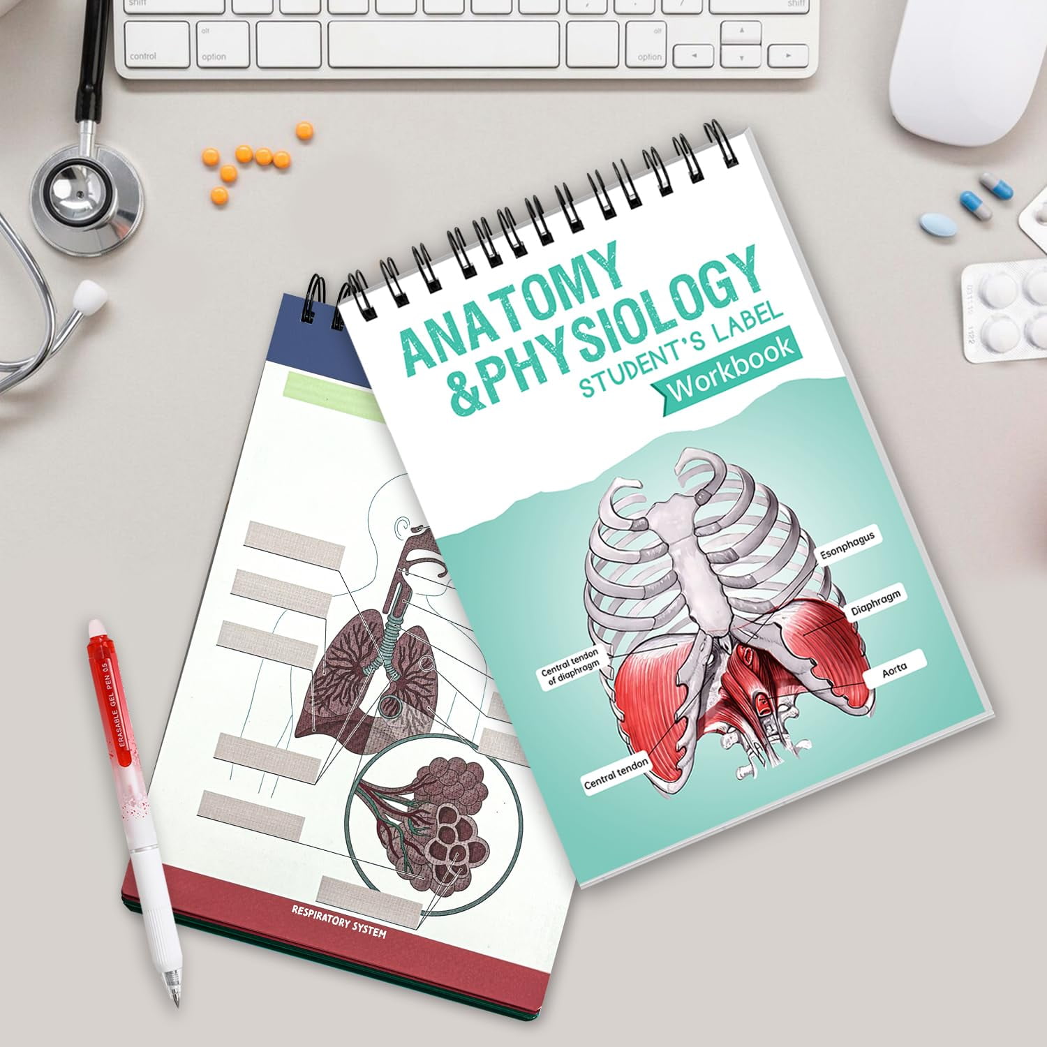 Anatomy Physiology Student's Label Workbook,Anatomy Label Lab Workbook ...