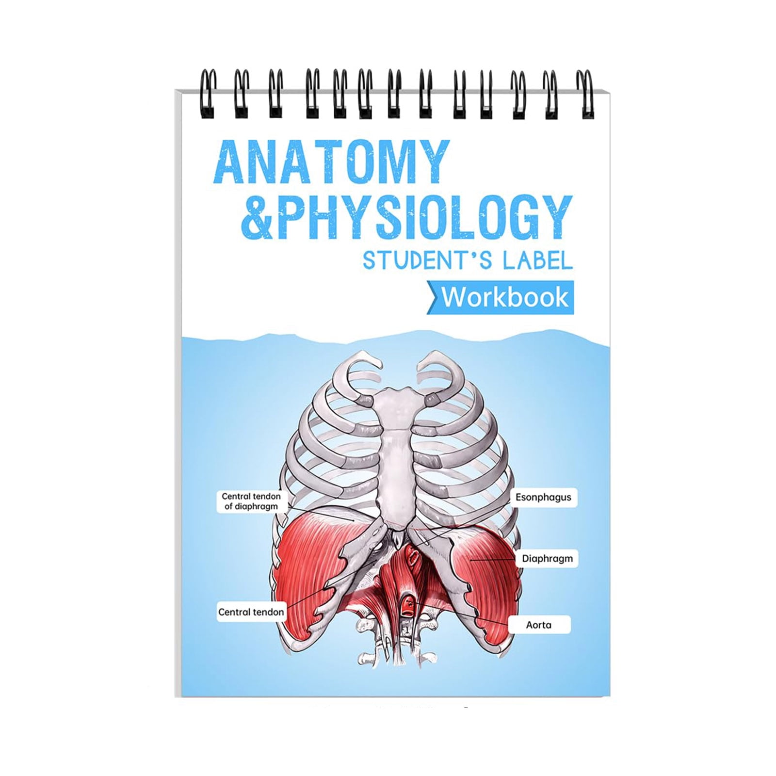 Anatomy Physiology Student's Label Workbook,Anatomy Label Lab Workbook ...