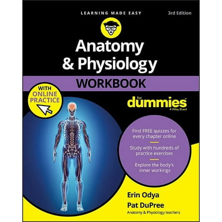 Anatomy & Physiology Workbook for Dummies with Online Practice, (Paperback)