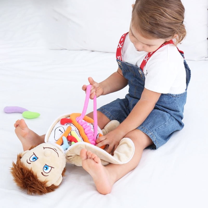 Anatomy Puzzle for Preschool Educational Organ Plush Doll 20 INCH and ...