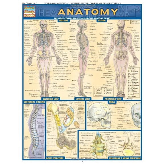 Pre-Owned Anatomy (Unknown) 1572224916 9781572224919