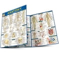 thumbnail image 1 of Pre-Owned Anatomy - Reference Guide (8.5 x 11) : a QuickStudy reference tool (Other), 1 of 1