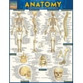 thumbnail image 1 of Anatomy - Reference Guide (8.5 x 11) : a QuickStudy reference tool (Other), 1 of 2