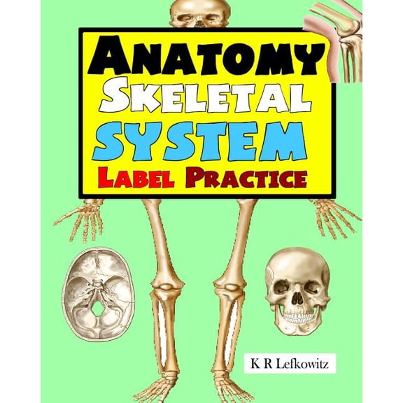 Anatomy Skeletal System Label Practice (Paperback) by K R Lefkowitz