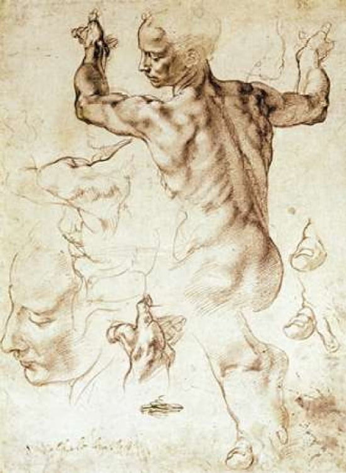 Anatomy Sketches - Libyan Sibyl Canvas Art - Michelangelo (18 x 24)