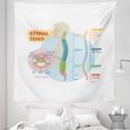 thumbnail image 1 of Anatomy Tapestry, Biology Human Spinal Cord Infographic Colorful Illustration, Fabric Wall Hanging Decor for Bedroom Living Room Dorm, 5 Sizes, Pale Blue Rose, by Ambesonne, 1 of 1