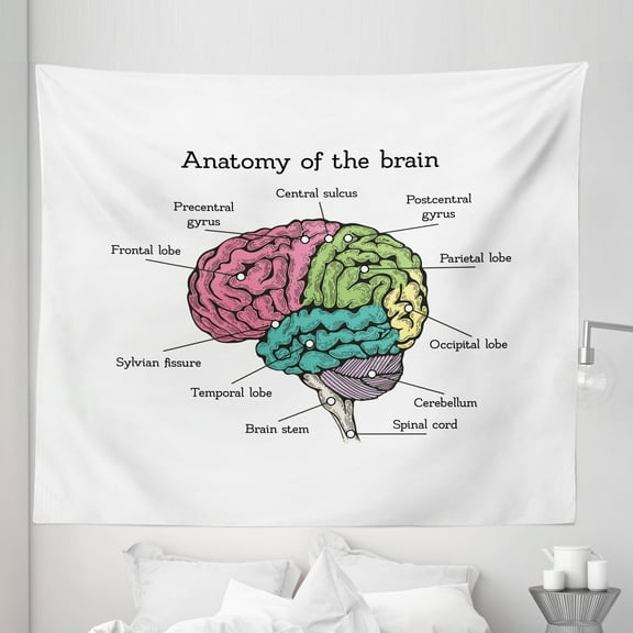 Anatomy Tapestry, Brain Structure Biology Themed Scheme Look on Plain Background, Fabric Wall Hanging Decor for Bedroom Living Room Dorm, 5 Sizes, Lime Green and Pink, by Ambesonne