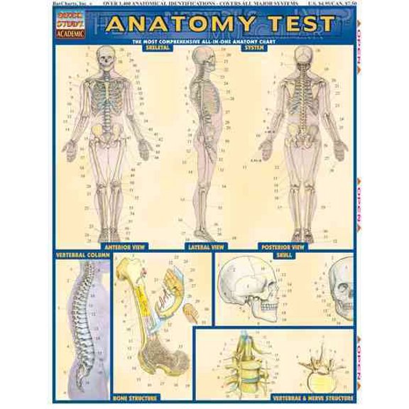 Pre-Owned Anatomy Test (Other)