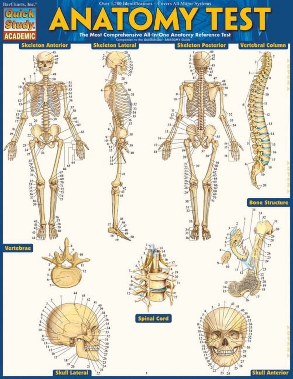Anatomy Test Reference Guide (8.5 x 11) : for use with Anatomy ...