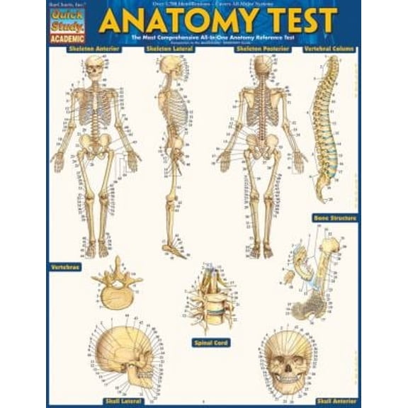 Pre-Owned Anatomy Test Reference Guide (8. 5 X 11) : For Use with Anatomy Reference Guide (9781423222781) (Paperback) 9781423223542