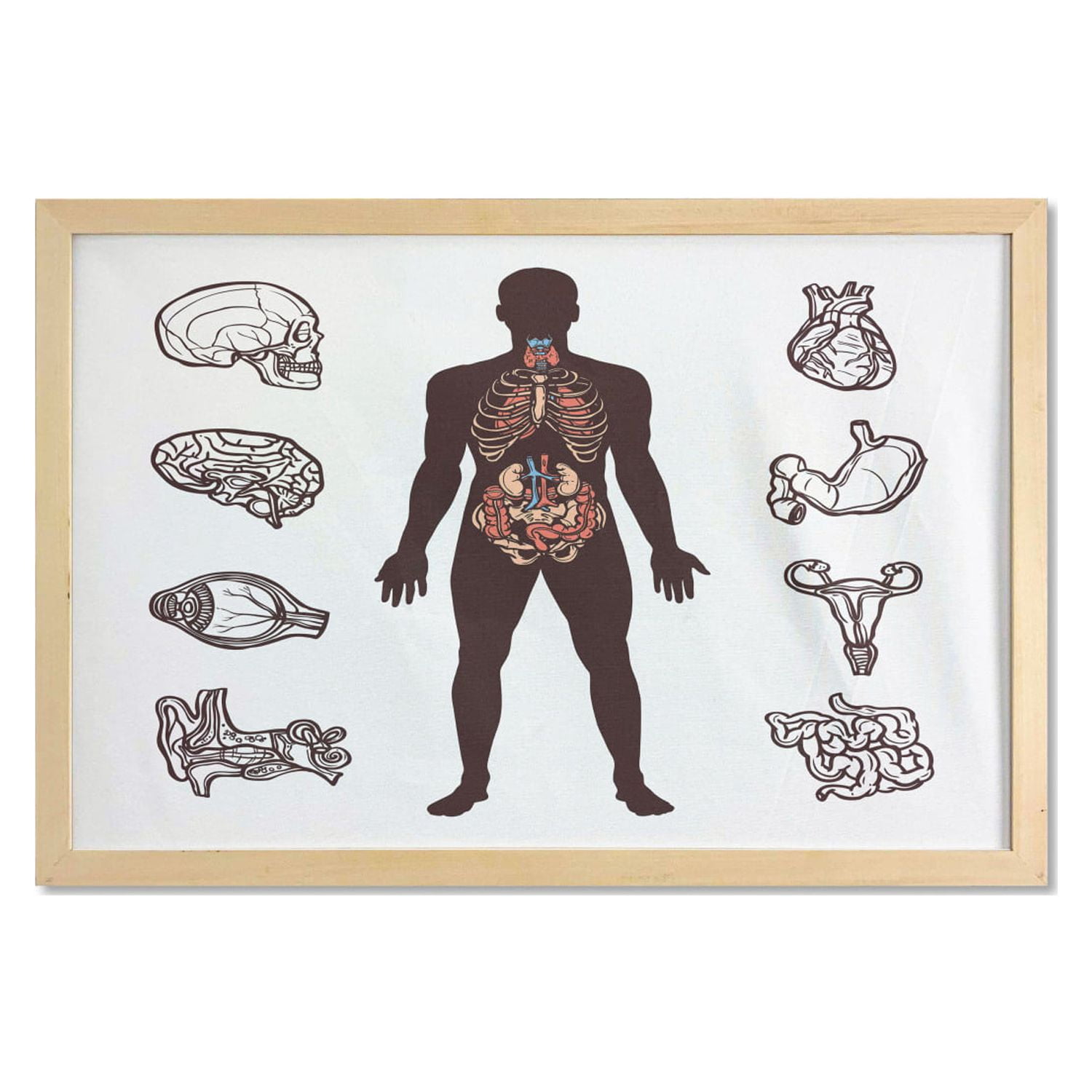 Anatomy Wall Art with Frame, Human Body with Internal Organs Sketch