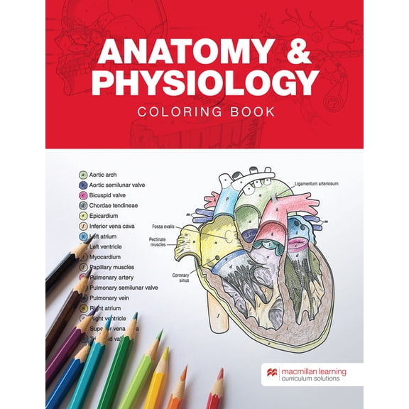 Anatomy & Physiology Coloring Book, (Spiral-Bound)