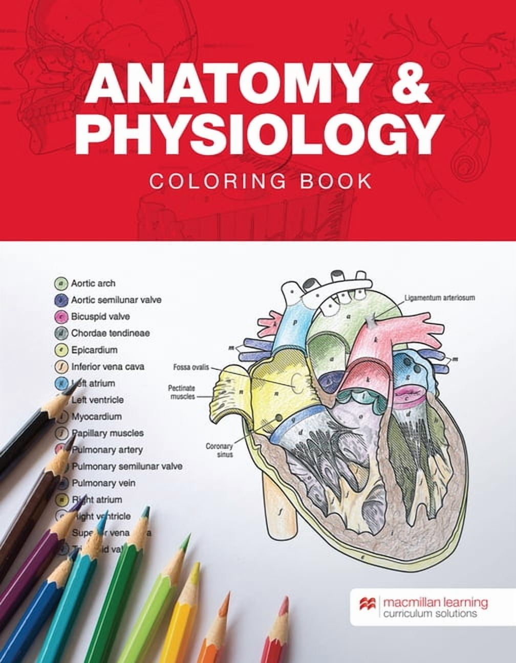 Physiology Coloring Book， The Amazon.com: Physiology Coloring Book, The: 9780321036636: Kapit