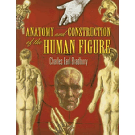 Pre-Owned Anatomy and Construction of the Human Figure (Dover Art Instruction) (Paperback) 0486455521 9780486455525