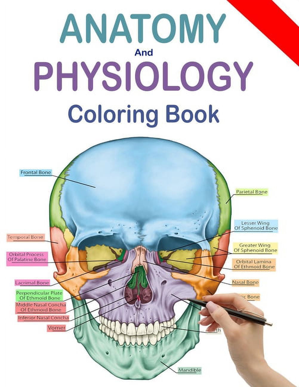 Anatomy and Physiology Coloring - Anatomy And Physiology Coloring Book Human Anatomy Coloring Book And Workbook Updated Edition Paperback Cfb3b790 86ad 440c A8ac Ac4fd25a1d25.2efabae7728227d49dd125711caae300 