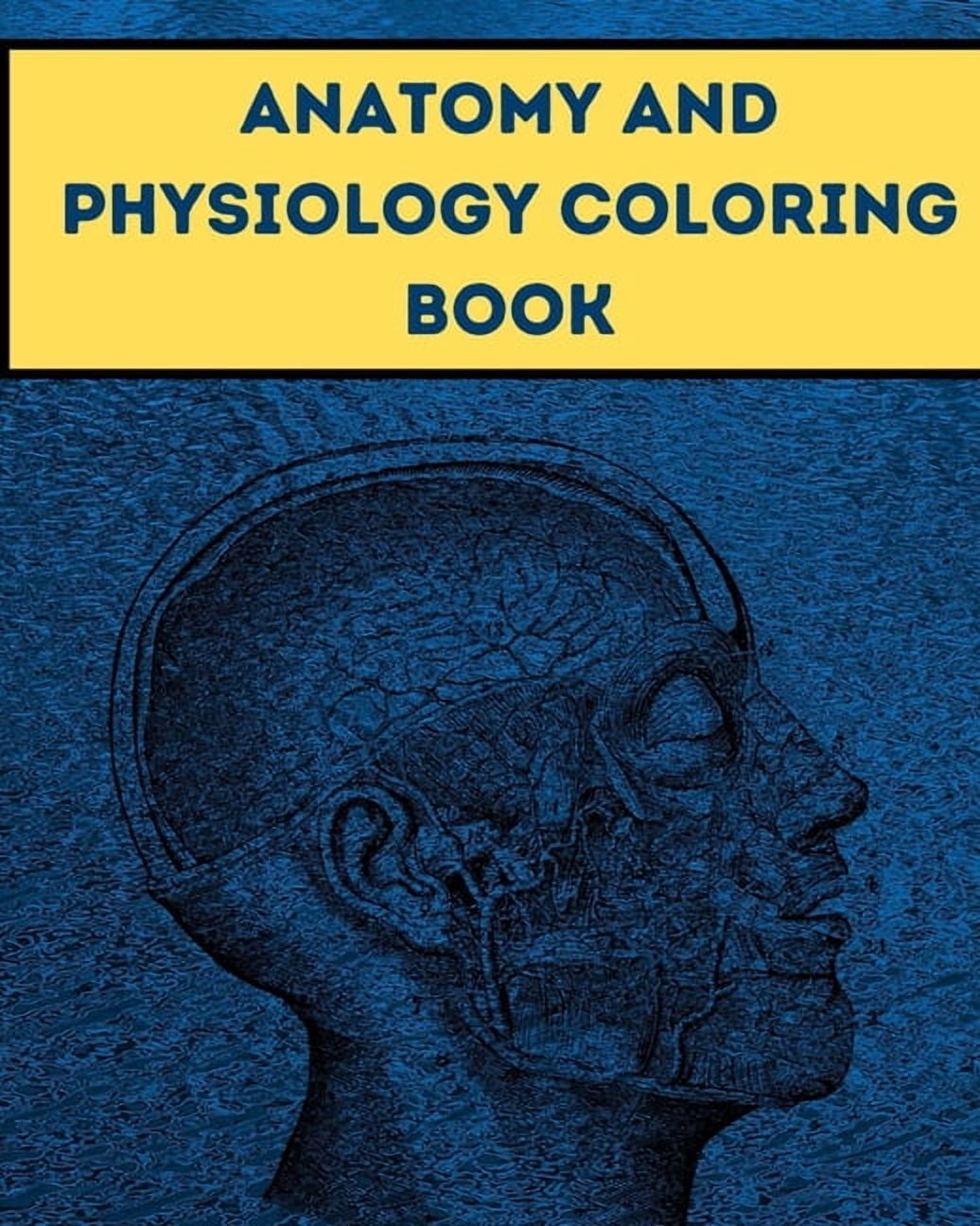 Anatomy and Physiology Coloring Book: The Human Body Guide Coloring ...