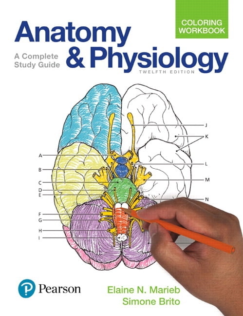 Anatomy and Physiology Coloring Workbook: A Complete Study Guide, (Paperback)
