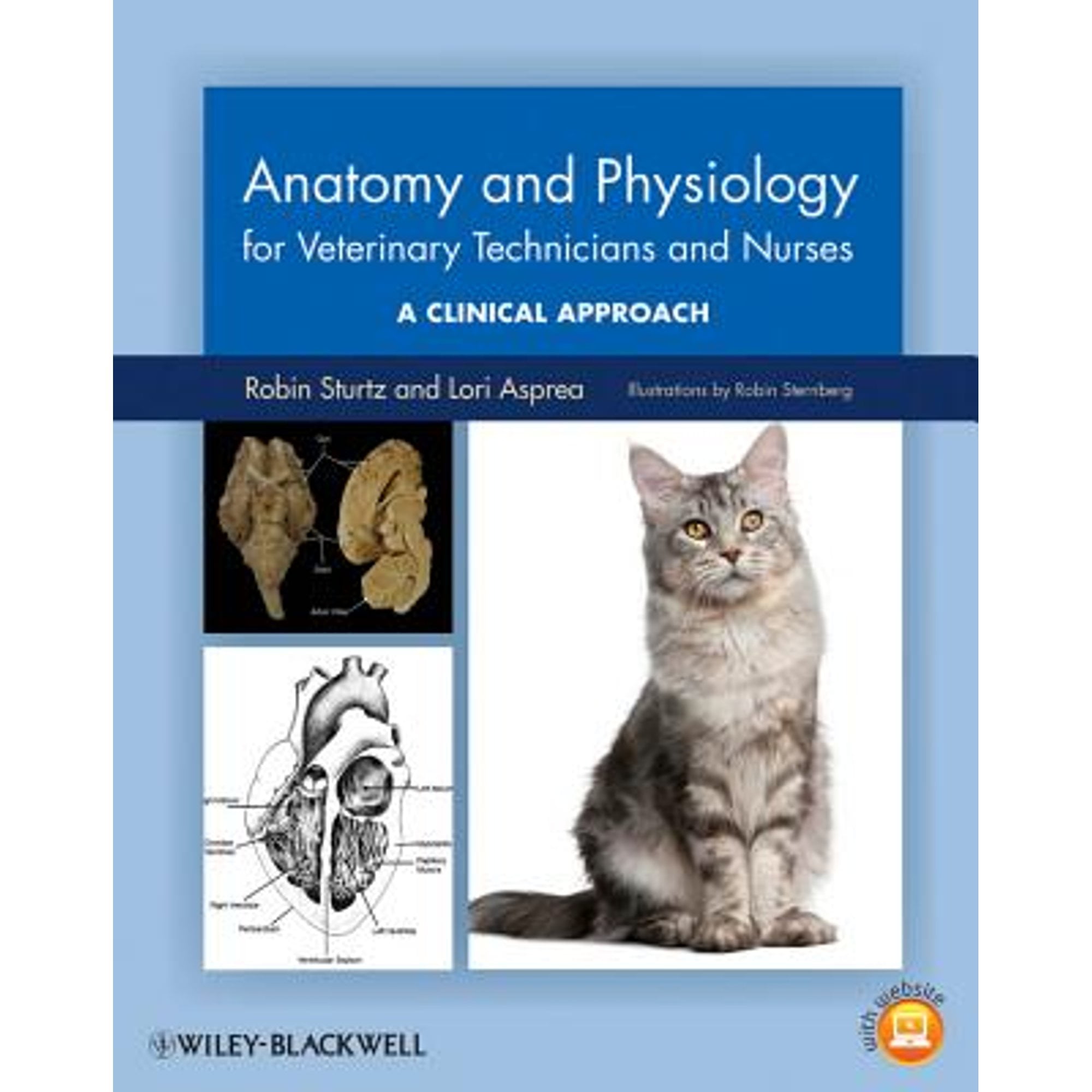 Pre-Owned Anatomy and Physiology for Veterinary Technicians and Nurses : A Clinical Approach, Paperback by Sturtz, Robin; Asprea, Lori; Sternberg, Robin (ILT), ISBN 0813822645, ISBN-13 9780813822648
