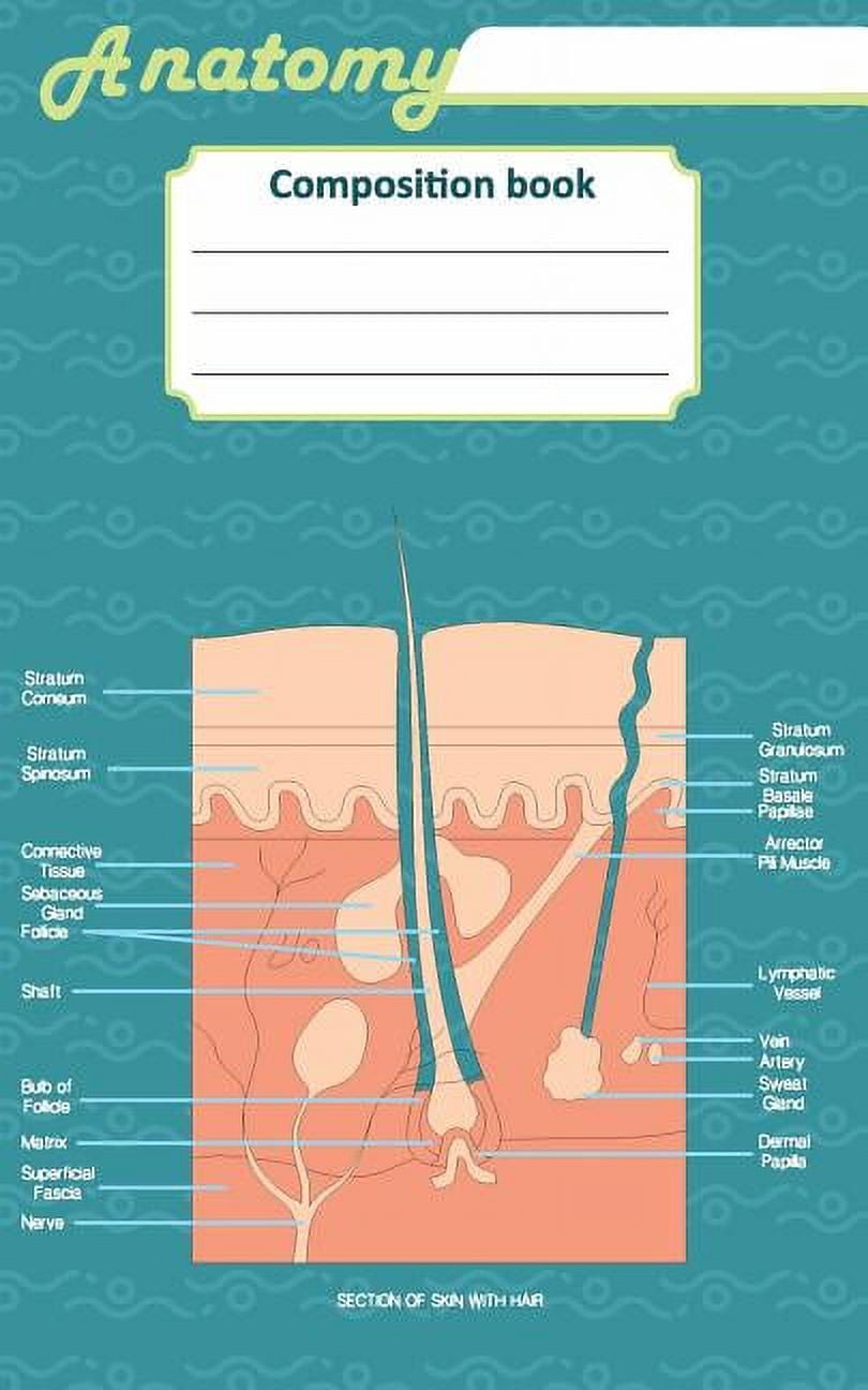 Anatomy composition book : 200 ruled line page 5" x 8"(12.7 x 20.32 cm). Notebook with a detailed scientific view of the human skin and a human spinal column. (Paperback)