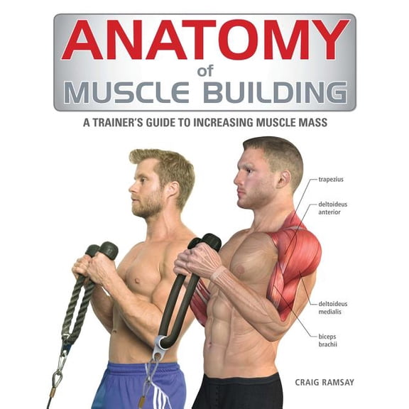 Pre-Owned Anatomy of: Anatomy of Muscle Building: A Trainer's Guide to Increasing Muscle Mass (Paperback)