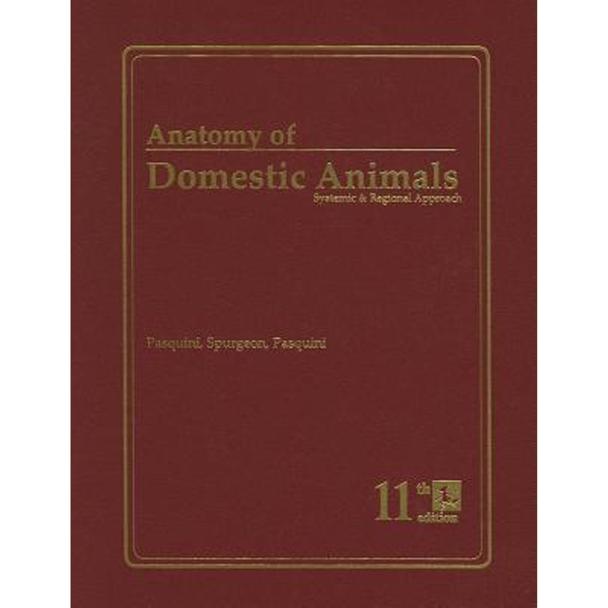 Pre-Owned Anatomy of Domestic Animals : Systemic \u0026 Regional Approach, Paperback by Pasquini, Chris; Spurgeon, Tom; Pasquini, Susan, ISBN 0962311421, ISBN-13 9780962311420