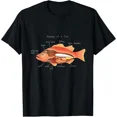 thumbnail image 1 of Anatomy of Fish T-Shirt, 1 of 6
