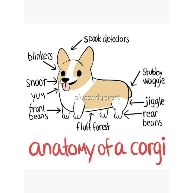 Anatomy of a Corgi Canvas Poster Decor Landscape Office Room Decor Gift ...