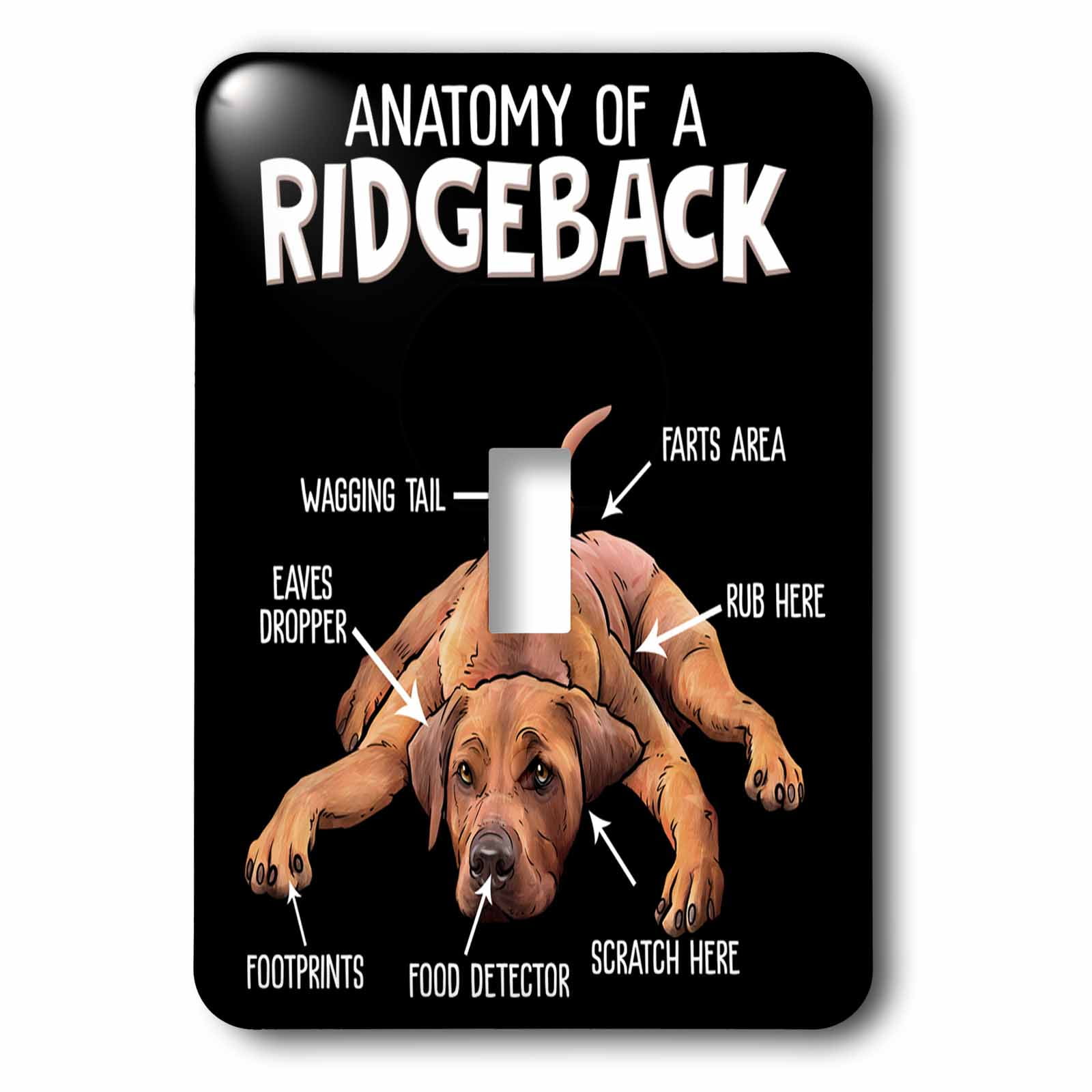 Rhodesian Ridgeback Anatomy RHODESIAN RIDGEBACK ESPAÑA/SPAIN
