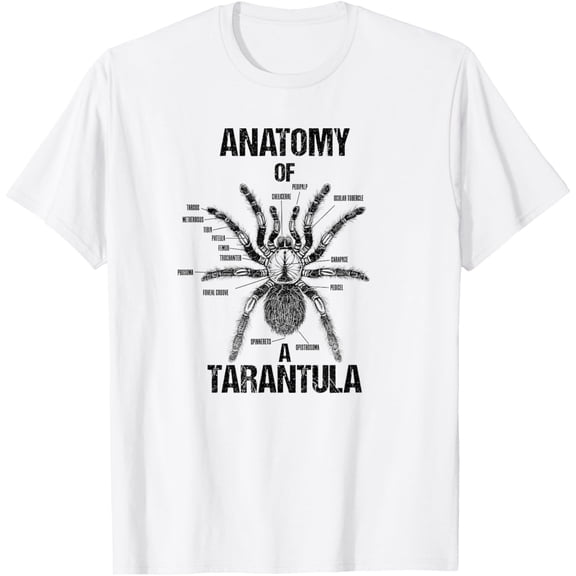 t-shirt Anatomy of a Tarantula Arachnid Enthusiast T-Shirt mens, woman, white，funny，journey，Crew Neck, Short Sleeve,custom clothing patterns.gift