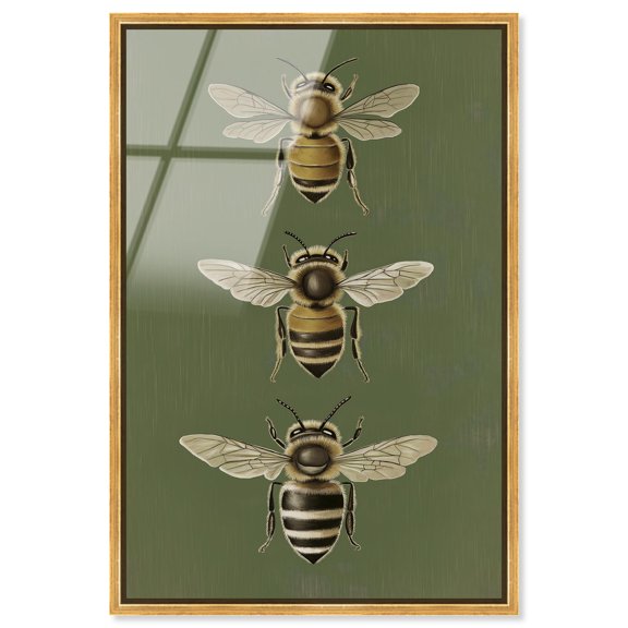 Anatomy of the Bee Framed High-Gloss Acrylic Glass Wall Art Vintage Botanicals by Art Remedy, Gold Frame, 16 x 24