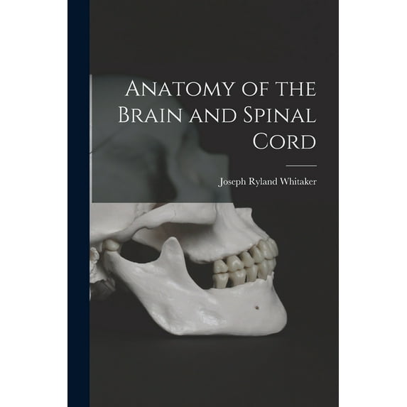 Anatomy of the Brain and Spinal Cord, (Paperback)