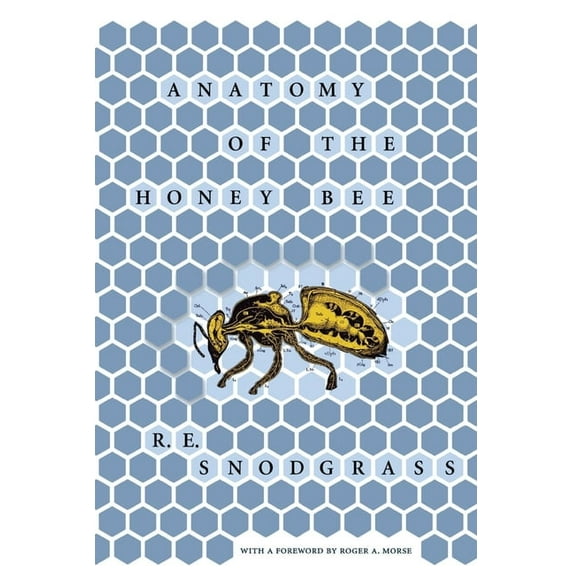 Anatomy of the Honey Bee, (Paperback)