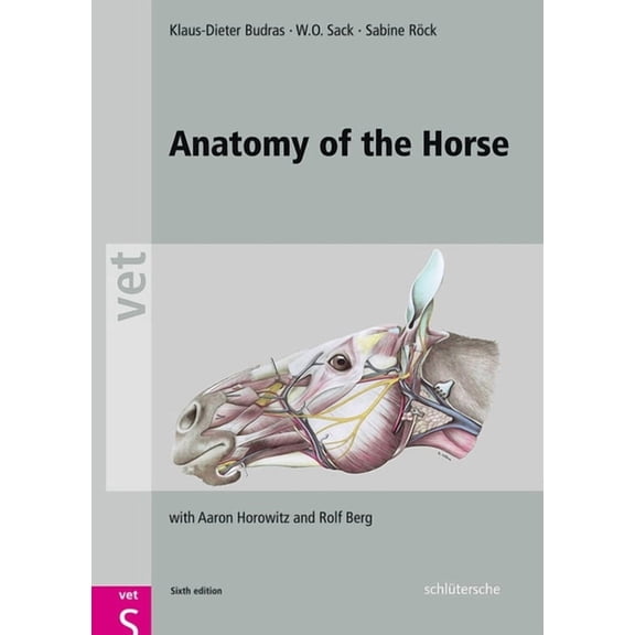 Anatomy of the Horse, (Hardcover)