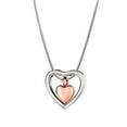 thumbnail image 1 of Anavia Floating Drop Heart Cremation Jewelry for Ashes Memorial Necklace Ash Urn Keepsake-[Silver - Rose Gold], 1 of 6