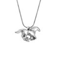 thumbnail image 1 of Anavia Horse Cremation Necklace Memorial Jewelr Urn Ashes Holder Stainless Steel Container with Free Funnel Kit and Velvet Jewelry Box, 1 of 6