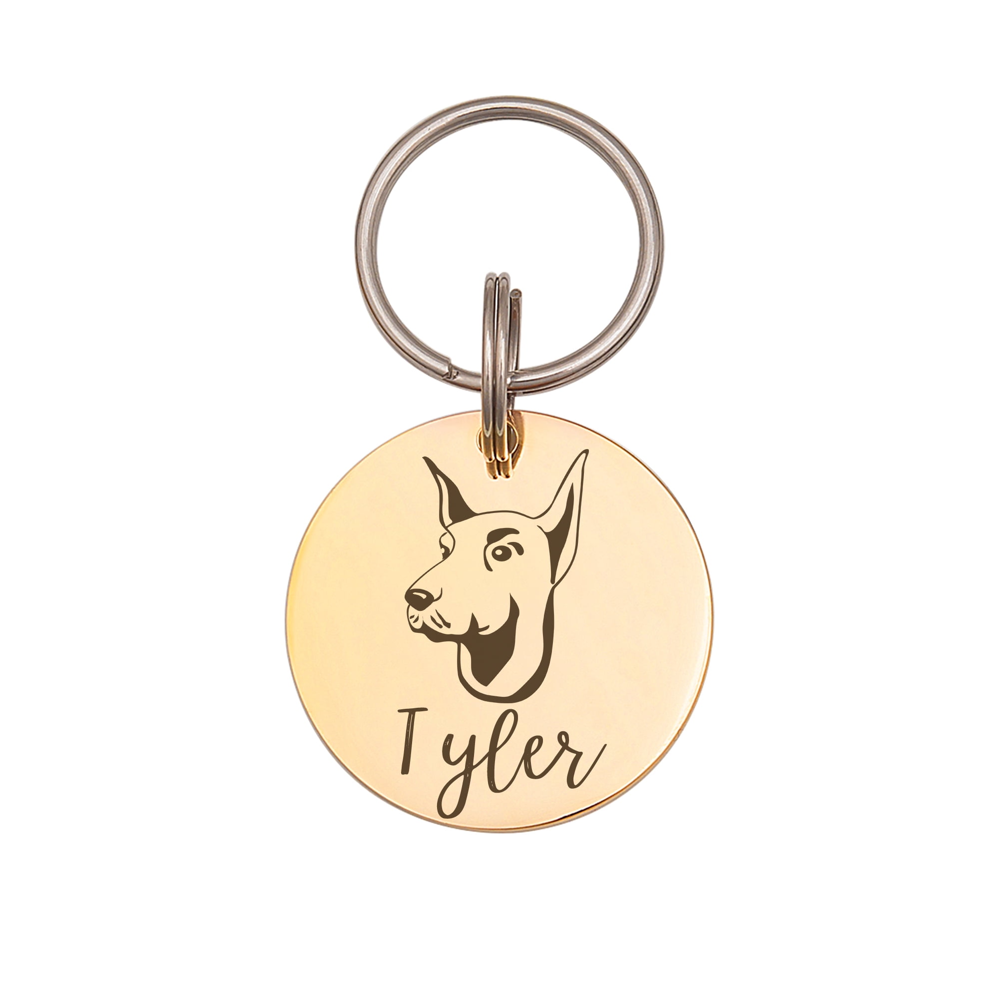 Anavia Metal & Stainless Round Funny Dog Face Birthday Holiday Christmas Engraved Dog ID Tag, Gold, L