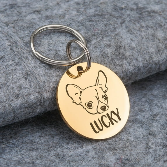 Anavia Metal & Stainless Round Funny Dog Face Birthday Holiday Christmas Engraved Dog ID Tag, Silver, L