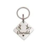Anavia Metal Stainless Steel Diamond Name - Animal Face Birthday Holiday Christmas Engraved Dog Cat ID Tag, Silver