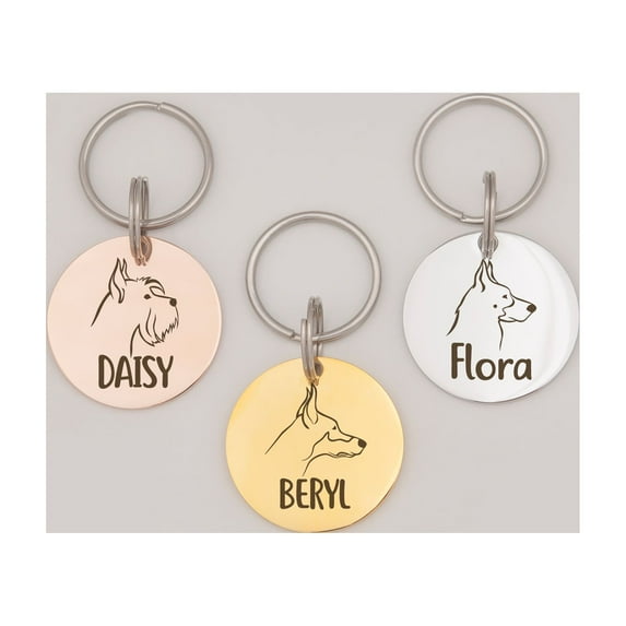 Anavia Metal Stainless Steel Round Name - Dog Icon Birthday Holiday Christmas Engraved Dog ID Tag, Silver